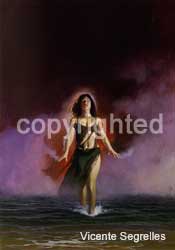TE_135